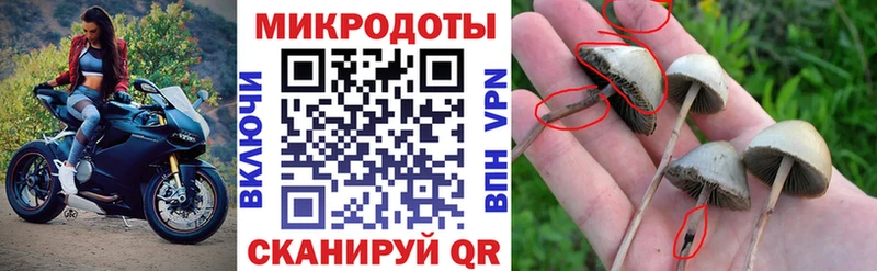 Галлюциногенные грибы мухоморы  площадка наркотические препараты  Каспийск  где купить наркоту  ОМГ ОМГ ССЫЛКА 